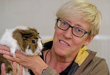 Starke Nachfrage in Tierheimen - Andreas Zobe