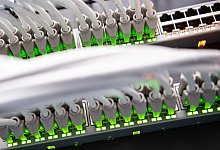 Bei sogenannten DDoS-Attacken («Distributed Denial of Service») versuchen Angreifer, Server mit einer Flut von Anfragen lahmzulegen. - Matthias Balk/dpa