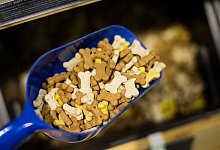 Hundefutter - Rolf Vennenbernd / dpa