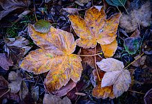 Frostiges Wetter - Patrick Pleul/dpa