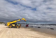Retter versuchen, einen gestrandeten Wal ins offene Wasser zu bringen. - Supplied/DEPARTMENT OF NATURAL RESOURCES AND ENVIRONMENT TASMANIA/dpa