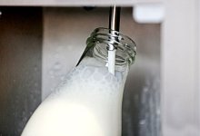 Frischer Rohmilch in einer Milchtankstelle - Roland Weihrauch/dpa