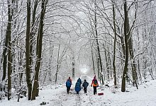 Winter im Taunus - Foto: Frank Rumpenhorst/dpa