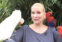 Vogelpark - Laurent Ohmansiek