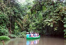 Regenwald von Tortuguero - Foto: Christoph Strotmann/dpa-tmn