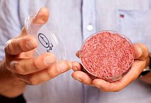 K&uuml;nstliches Fleisch - Foto: David Parry/Pa Wire Handout/PRESS ASSOCIATION IMAGES/dpa