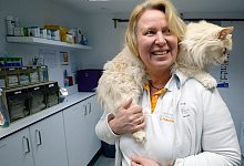 &laquo;Re: Tier&auml;rzte unter Druck&raquo; - Niko Karasek/Spiegel TV/dpa