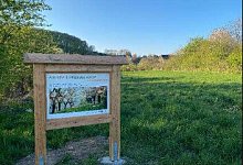 screenshot-2024-11-20-at-15-06-03-22_11_09-konzept-foerderung-der-artenvielfalt-an-der-grundschule_compressedpdf - Naturpark Teutoburger Wald