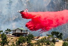 Waldbr&auml;nde in Kalifornien - Noah Berger/AP/dpa