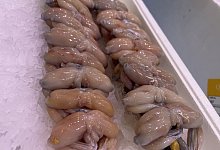 Froschschenkel - -/March&eacute; de Rungis/dpa