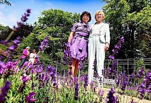 Zwischen den Beeten - FOTOS: PATRICK MENZEL