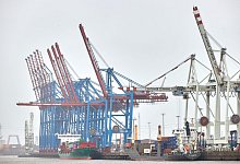 Hamburger Hafenterminal Tollerort - Georg Wendt/dpa