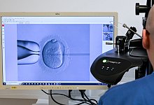 K&uuml;nstliche Befruchtung - Jens Kalaene/dpa