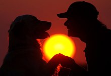 Welthundetag - Foto: Patrick Pleul/dpa