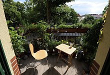 Fr&uuml;hling auf dem Balkon genie&szlig;en - Foto: Rainer Jensen/dpa/dpa-tmn