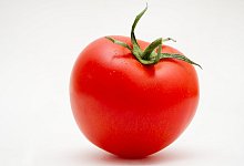 Tomate - Foto: Franziska Gabbert