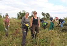 Velmerstot - Michaela Wei&szlig;e