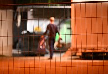 Vogelgrippe - -/onw-images/dpa