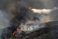 Löschflugzeug - Petros Giannakouris/AP/dpa