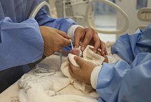 Panda-Nachwuchs im Berliner Zoo - ---/Zoo Berlin/dpa