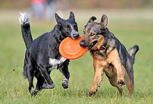 Unbeschwertes Vergn&uuml;gen - dpa
