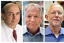 Medizin-Nobelpreisträger - Foto: Rhoda Baer Richard Siemens John /National Institutes of Health, University of Alberta, AP/dpa