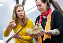 Mammutknochen gefunden - Guido Kirchner/dpa