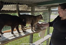 img_2468 - Jan Schillmann