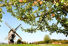 LWL-Freilichtmuseum Detmold - 1 - LWL/Robin Jähne