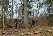 Heimbachtal - Landesverband Lippe