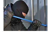 Offenbar haben die T&auml;ter einen Hang zu Kleintieren und V&ouml;geln. - Symbolfoto: Pixabay