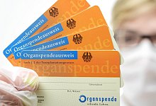 Organspendeausweise - Foto: David Ebener