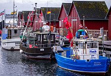 Vor dem Treffen zu neuen Fischfangmengen - Jens Büttner/dpa