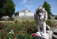 Die Villa D&uuml;rkopp - Vera Gerstendorf-Welle