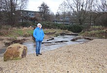 SLWwerre Kuhkamp - Cordula Gr&ouml;ne