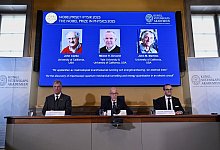 Nobelpreise 2025 - Physik - Claudio Bresciani/TT News Agency/AP/dpa