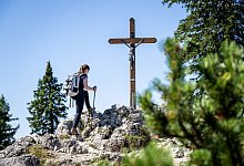 Wanderung zum Predigtstuhl in den Berchtesgadener Alpen - Benjamin Nolte/dpa-tmn