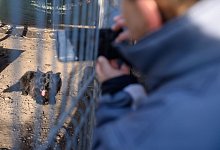 Per App zum Haustier - Klaus-Dietmar Gabbert/dpa