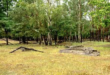 Das hier einmal ein Truppen&uuml;bungsplatz war, wird an vielen Stellen des Wildgeheges deutlich. - Laura Ludwig/dpa-tmn