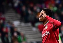 Bayer Leverkusen - Marton Monus/dpa