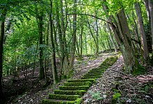 M&auml;rchenwald Berlebeck - Torben Gocke