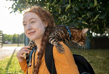 Bengalkatze Baios drau&szlig;en an der Leine - Paul Zinken/dpa