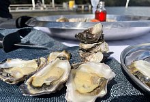 Austern - Michelle Ostwald/dpa