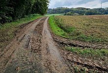 kreuzbuschweg_1 - 1 - Fotorechte: LZ