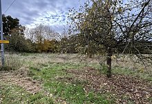 sa_ahmsen - 1 - Thomas Reineke