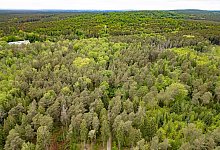 Get&ouml;tete Frau in Sachsen gefunden - Robert Michael/dpa