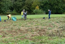 Die Mitglieder der NABU-Gruppe bei einem Arbeitseinsatz am Freesenberg, einer Ausgleichsfl&auml;che der Gemeinde Leopoldsh&ouml;he. - NABU Leopoldsh&ouml;he