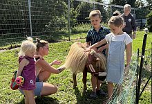 img_5458 - Jan Schillmann