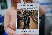Verlorener Hund nach Zugungl&uuml;ck in Spanien - Manu Fernandez/AP/dpa