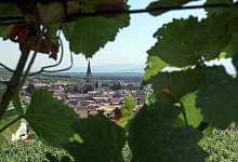 Weinort Ihringen am Kaiserstuhl - Patrick Seeger/dpa/dpa-tmn
